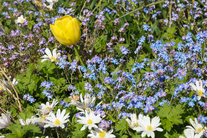 Will Apr 2018 (020)